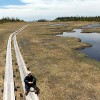 尾瀬で登山！富士見峠からアヤメ平を経て鳩待峠に向かう！