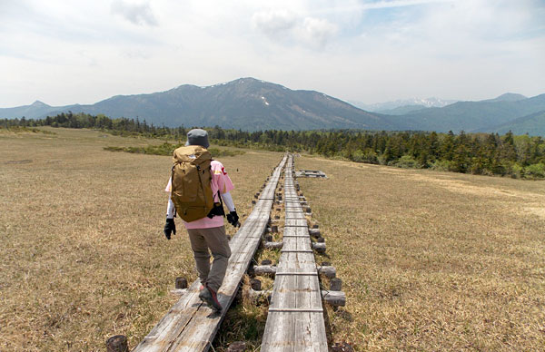 尾瀬登山・アヤメ平から鳩待峠へ向かう