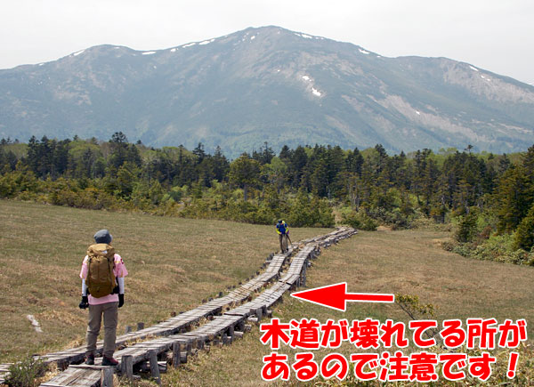 尾瀬登山・アヤメ平から鳩待峠へ向かう