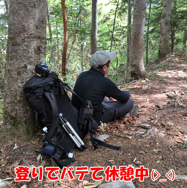 尾瀬登山・竜宮から富士見峠へ向かう