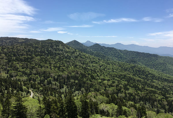 尾瀬登山・富士見峠からアヤメ平へ向かう