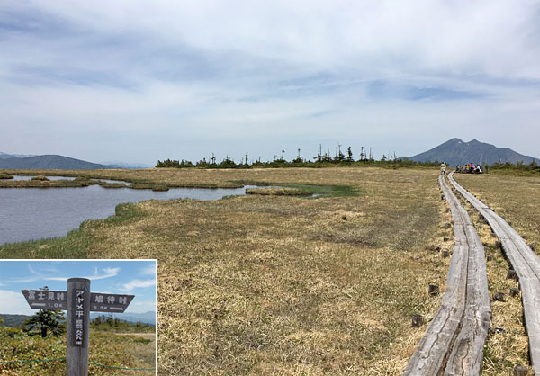 尾瀬登山・アヤメ平から鳩待峠へ向かう