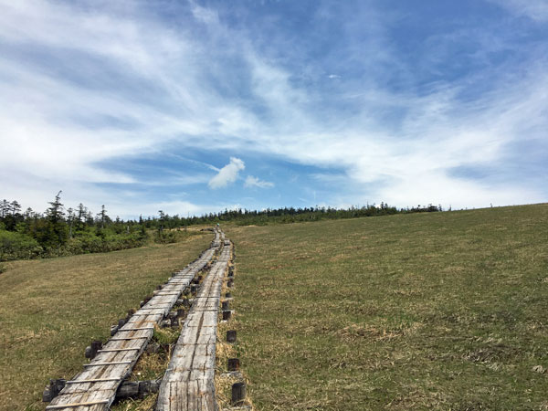 尾瀬登山・アヤメ平から鳩待峠へ向かう