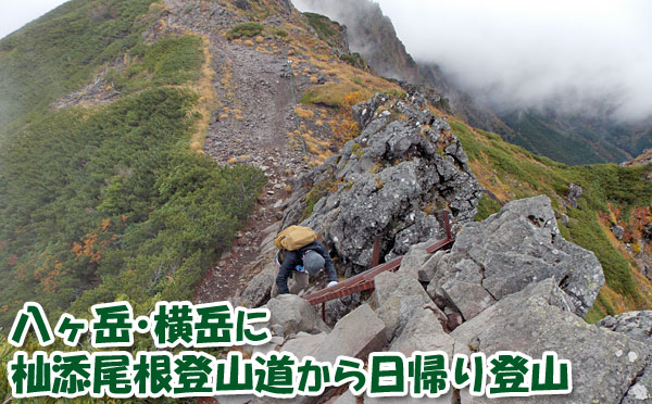 八ヶ岳・横岳に杣添尾根登山道から日帰り登山をしてきたぞ！