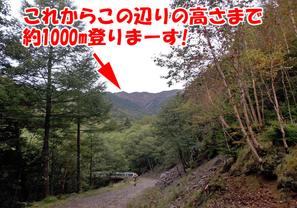 横岳登山・これから約1000m登りまーす！