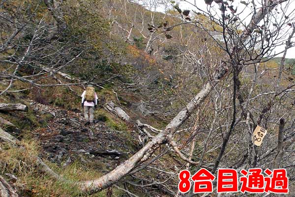 八ヶ岳・横岳に杣添尾根登山道から日帰り登山をしてきたぞ！