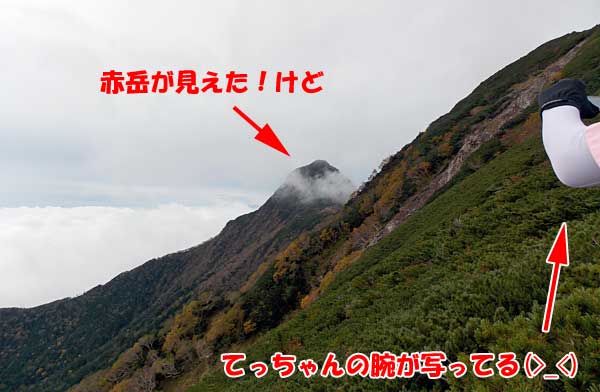 八ヶ岳・横岳に杣添尾根登山道から日帰り登山をしてきたぞ！