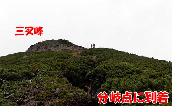 八ヶ岳・横岳に杣添尾根登山道から日帰り登山をしてきたぞ！