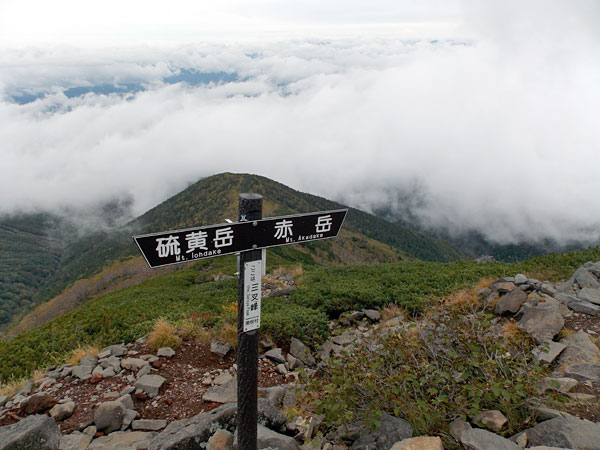 杣添尾根登山道との分岐点に到着！