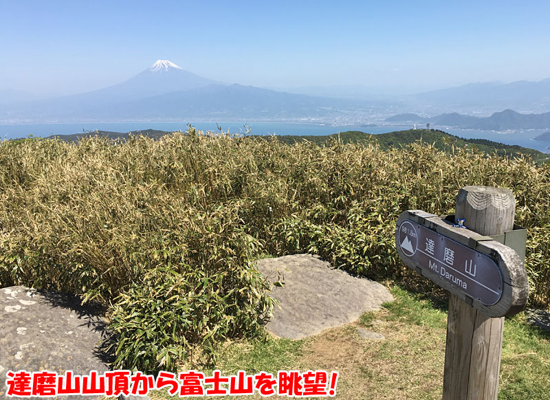 達磨山山頂から富士山を眺望