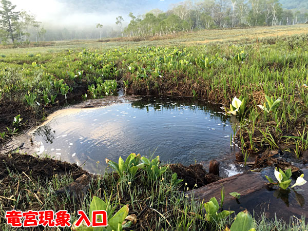 尾瀬ヶ原の竜宮現象 入口（伏流点）