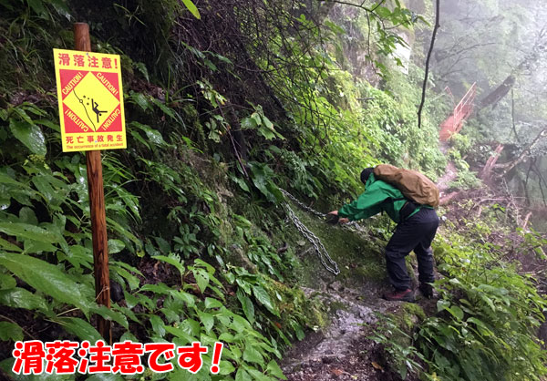 尾白川渓谷の渓谷道