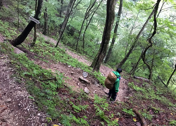 尾白川渓谷の渓谷道