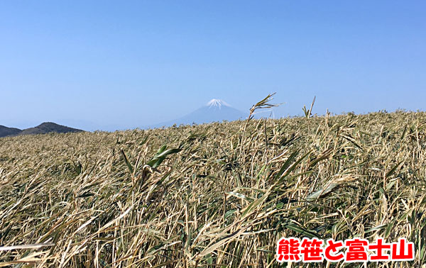 伊豆半島の仁科峠から360度の大パノラマと富士山を眺望！