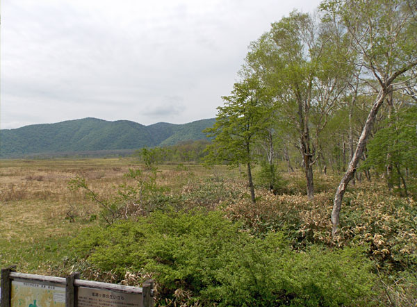 尾瀬・龍宮小屋の宿泊した部屋から見た尾瀬ヶ原