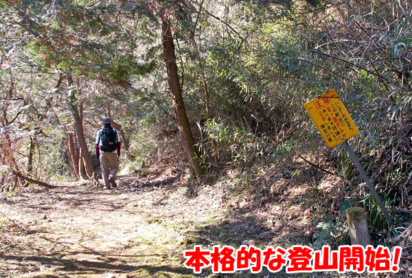 高取山への本格的な登山開始