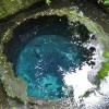 日本三大清流・静岡県の柿田川へ湧水を見に行ってきたよ！