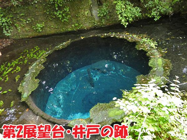 柿田川公園・第2展望台