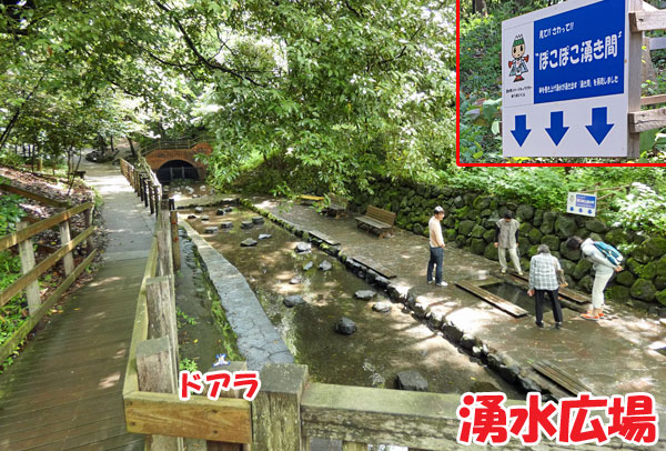 柿田川公園・湧水広場