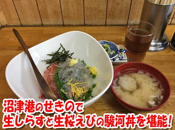 沼津港のせきので生しらすと生桜えびの駿河丼を堪能