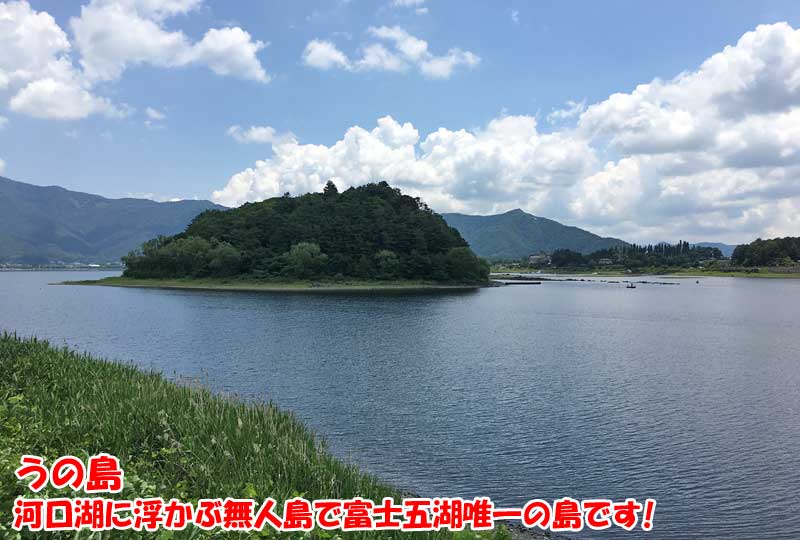 留守ケ岩からうの島を臨む