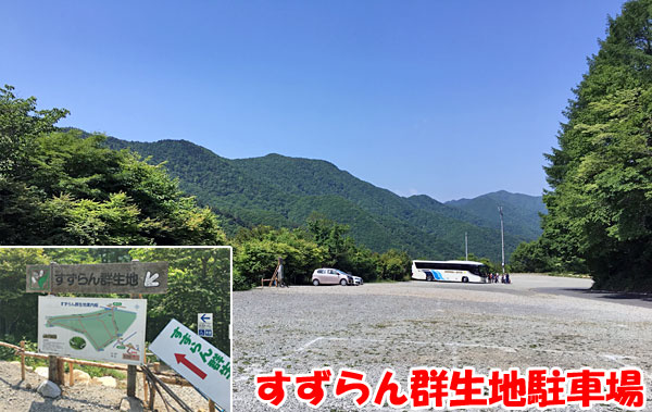 すずらん群生地の駐車場