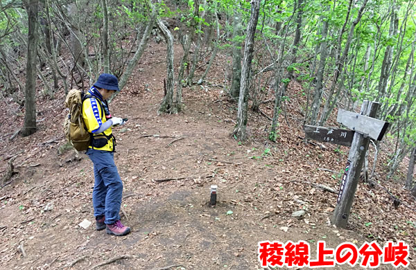 釈迦ヶ岳登山・稜線上の分岐