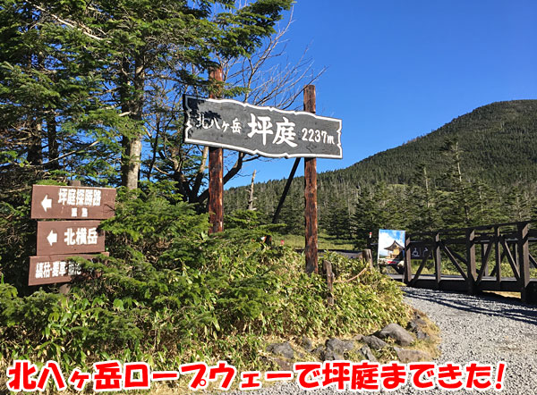 北八ヶ岳・坪庭