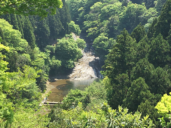 養老の滝（粟又の滝）