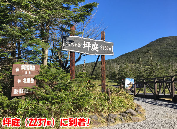 北八ヶ岳・坪庭（標高2237m）