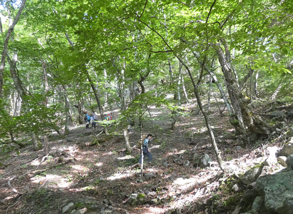 南アルプス・鳳凰三山：小武川第三砂防堰堤から本格的な登山開始