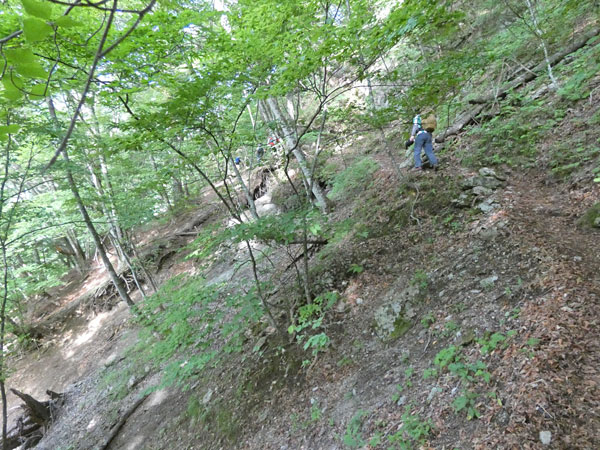 南アルプス・鳳凰三山：傾斜のキツイ登りが続く