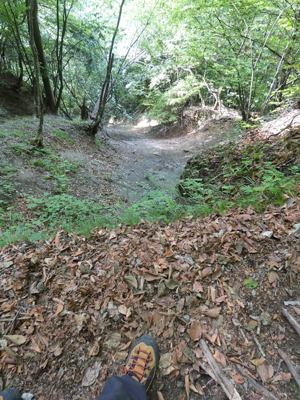 南アルプス・鳳凰三山：滑落したらやばい箇所が多々あります