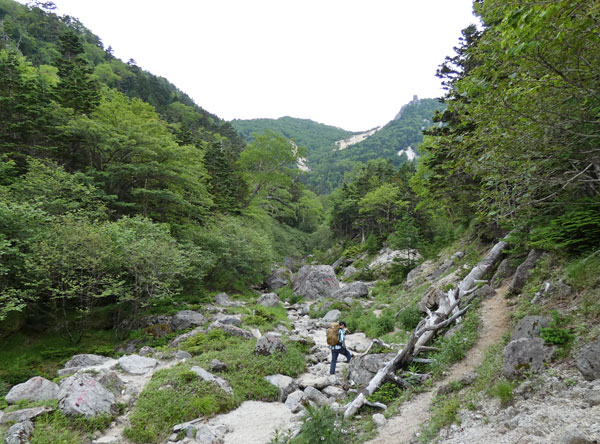 南アルプス・鳳凰三山：庭園のような場所を歩きます。地蔵岳とオベリスクが見えてた！