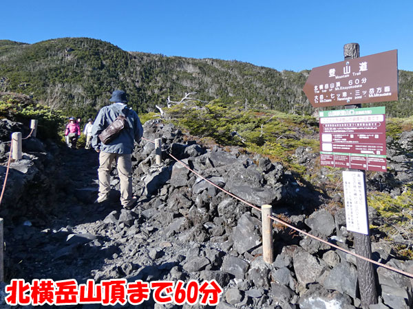 坪庭から北横岳山頂へ向かう