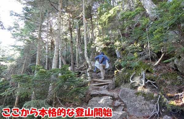 北横岳山頂に本格的な登山開始