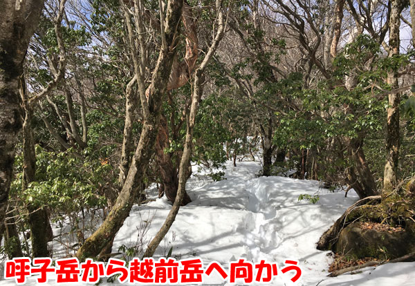 愛鷹山日帰り登山・呼子岳から越前岳へ向かう