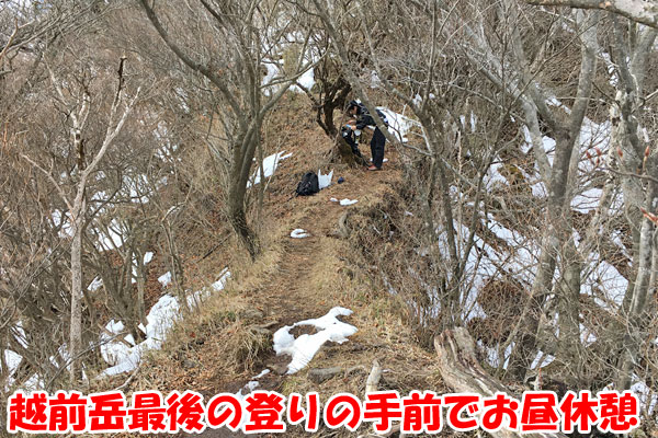 愛鷹山日帰り登山・越前岳へ