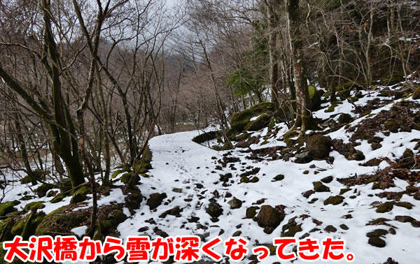 愛鷹山日帰り登山・大沢橋から割石峠へ