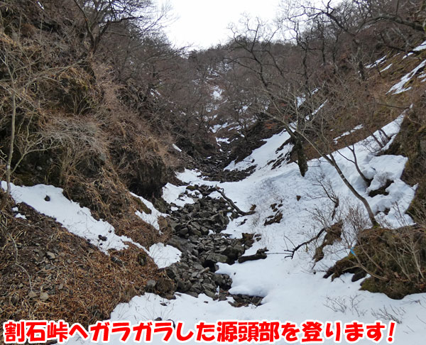 愛鷹山日帰り登山・割石峠へガラガラした源頭部を登ります