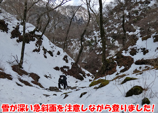 愛鷹山日帰り登山・雪が深い急斜面を注意しながら登りました！