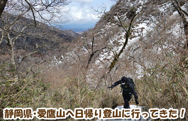 静岡県･愛鷹山（呼子岳・越前岳）へ日帰り登山に行ってきた！