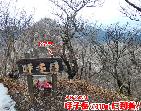 愛鷹山日帰り登山・呼子岳