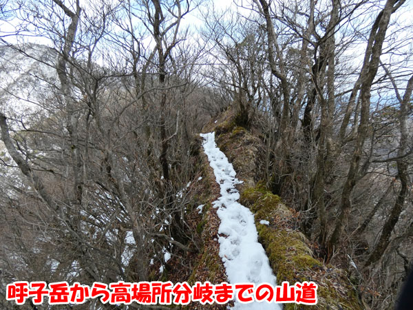 愛鷹山日帰り登山・呼子岳から高場所分岐までの山道