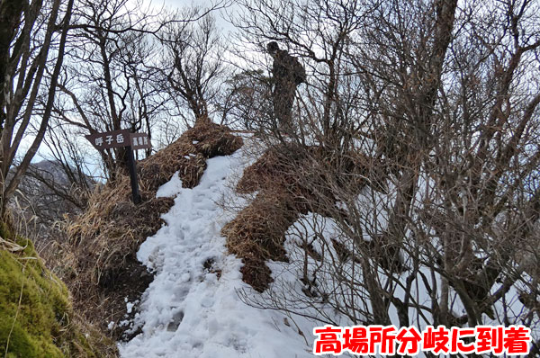 愛鷹山日帰り登山・高場所分岐点に到着