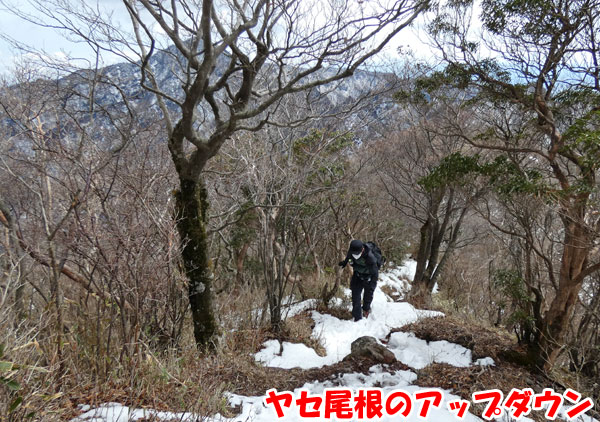 愛鷹山日帰り登山・ヤセ尾根のアップダウン