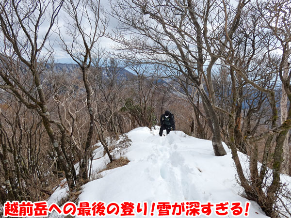 愛鷹山日帰り登山・越前岳への最後の登り