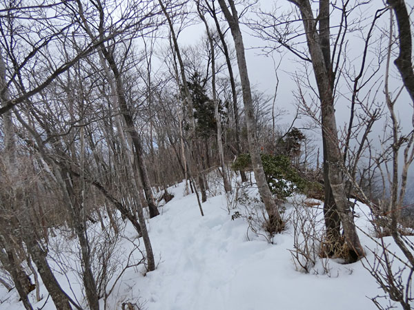 愛鷹山日帰り登山・雪が深すぎる