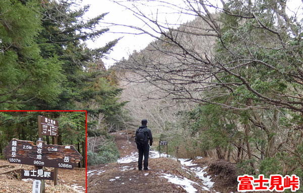 愛鷹山日帰り登山・富士見伊峠