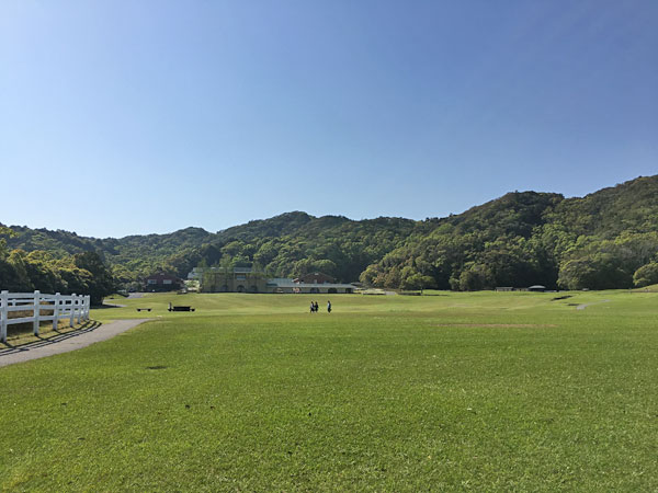 ブルーベリーヒル勝浦の敷地はとにかく広い